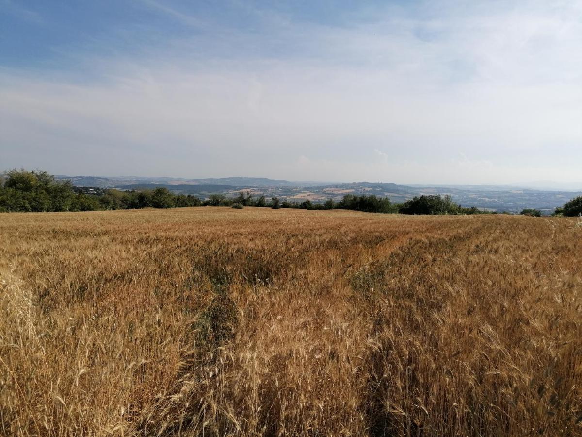 B&B Capo Le Vigne Sirolo Esterno foto